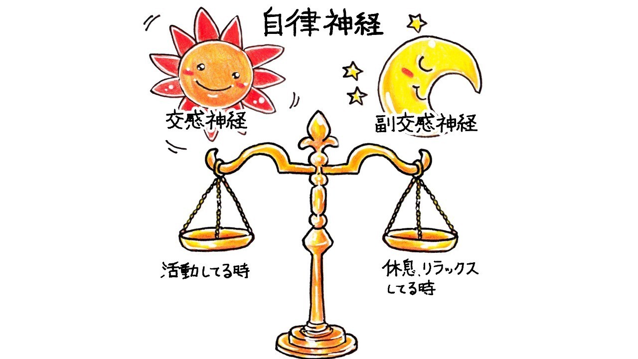 片鼻呼吸法（ナディショダナ）