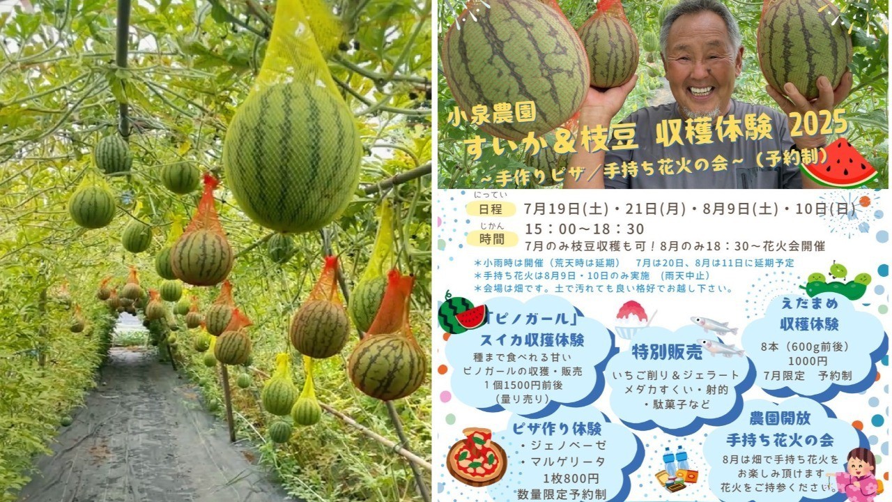 9d258d23-0c7d-41e3-ba6d-