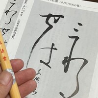 Activity18621