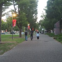 Activity18631