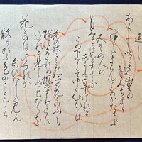 Activity18709