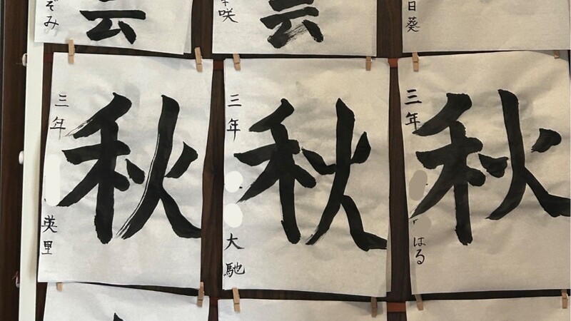 image-18834