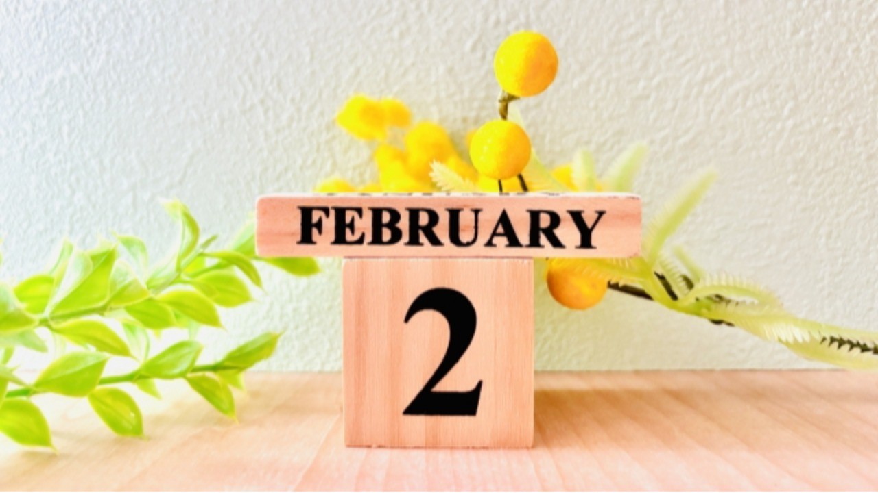 2026年2月のスケジュール