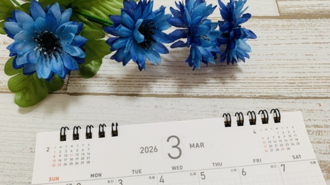 2026年3月のスケジュール