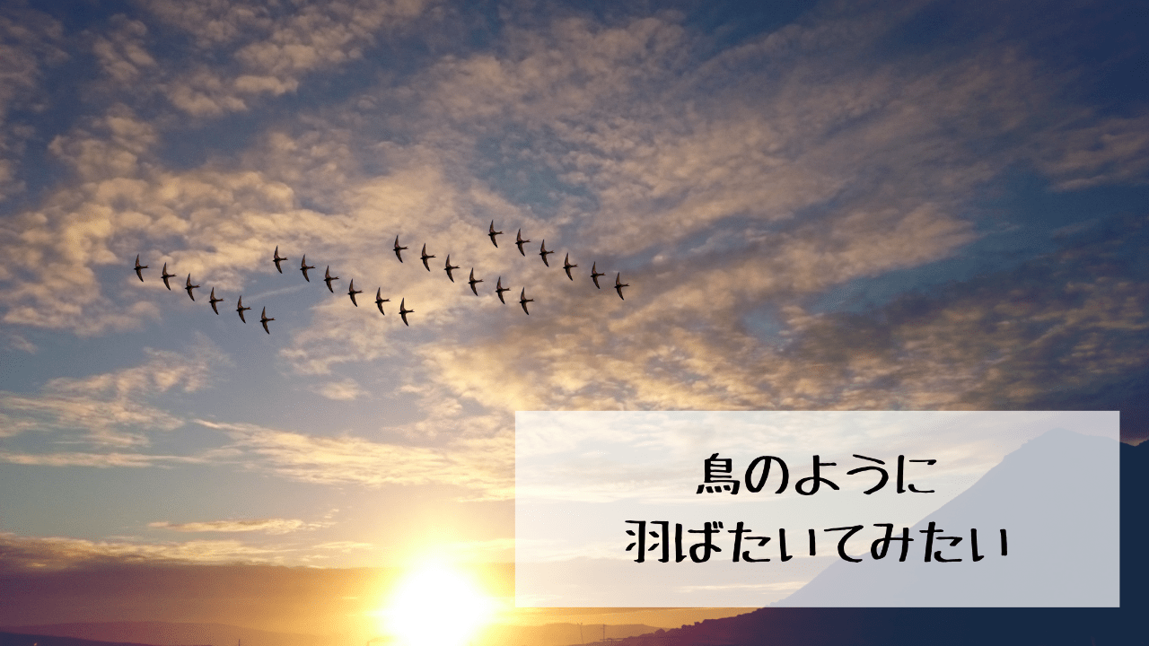 鳥のように羽ばたいてみたい。