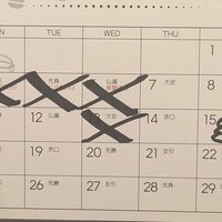 Activity19493