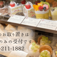 Activity19565