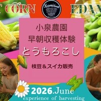 Activity19676