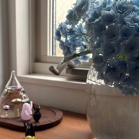 Activity19713