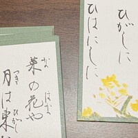 Activity19936