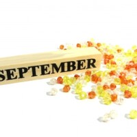 Activity19939