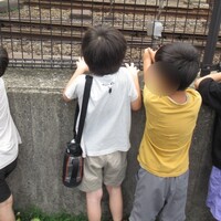 Activity19985