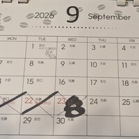 Activity20020