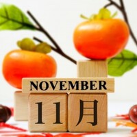 Activity20178