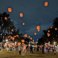 Activity20193