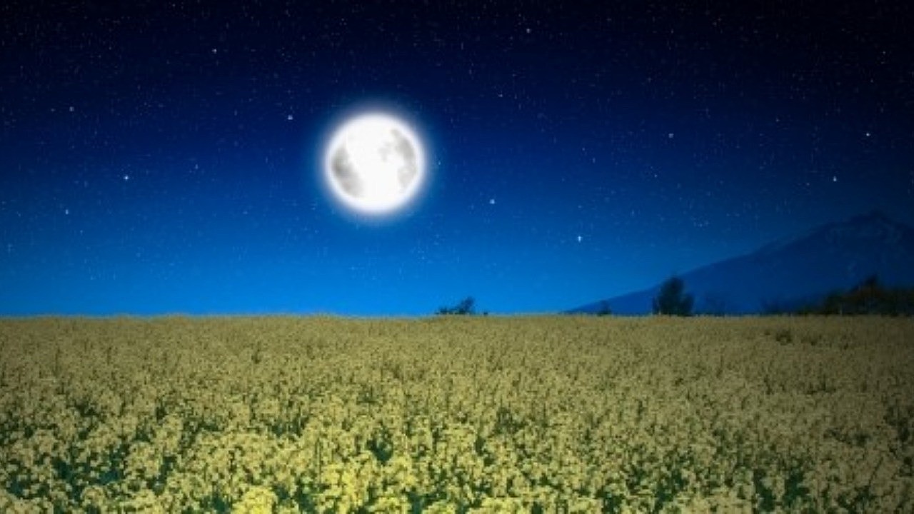 水曜の夜３０分ご一緒しませんか？