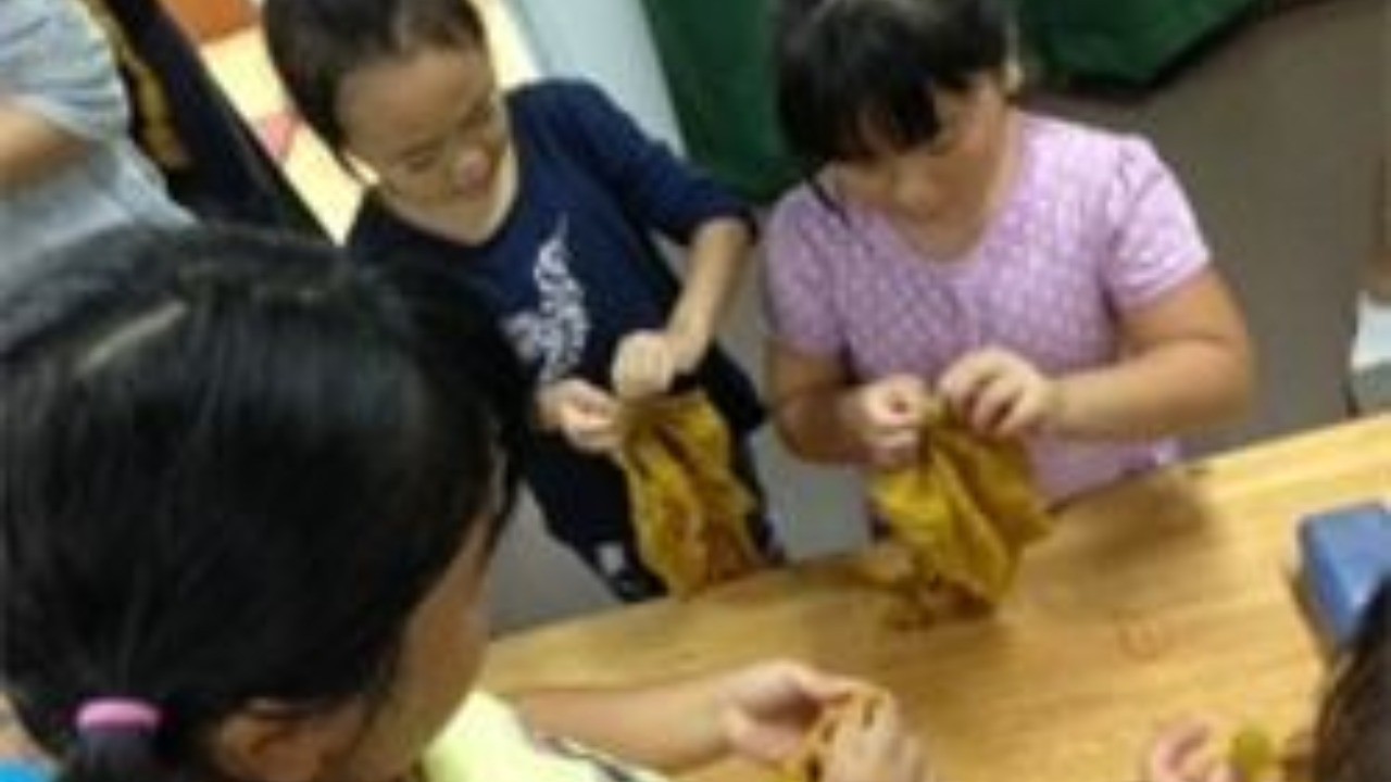 「草木（玉ねぎの皮）染め体験」