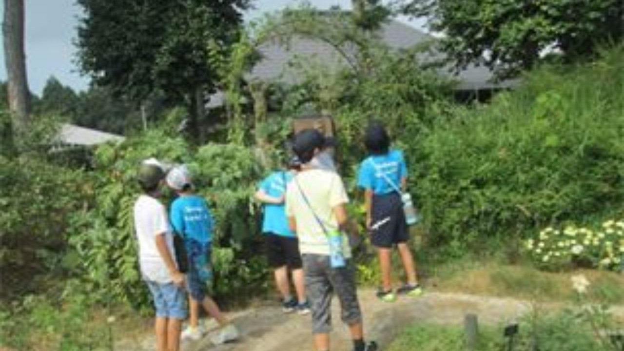 「夏遠足」