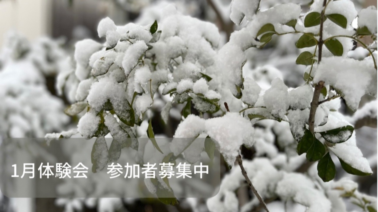 1月体験会開催いたします