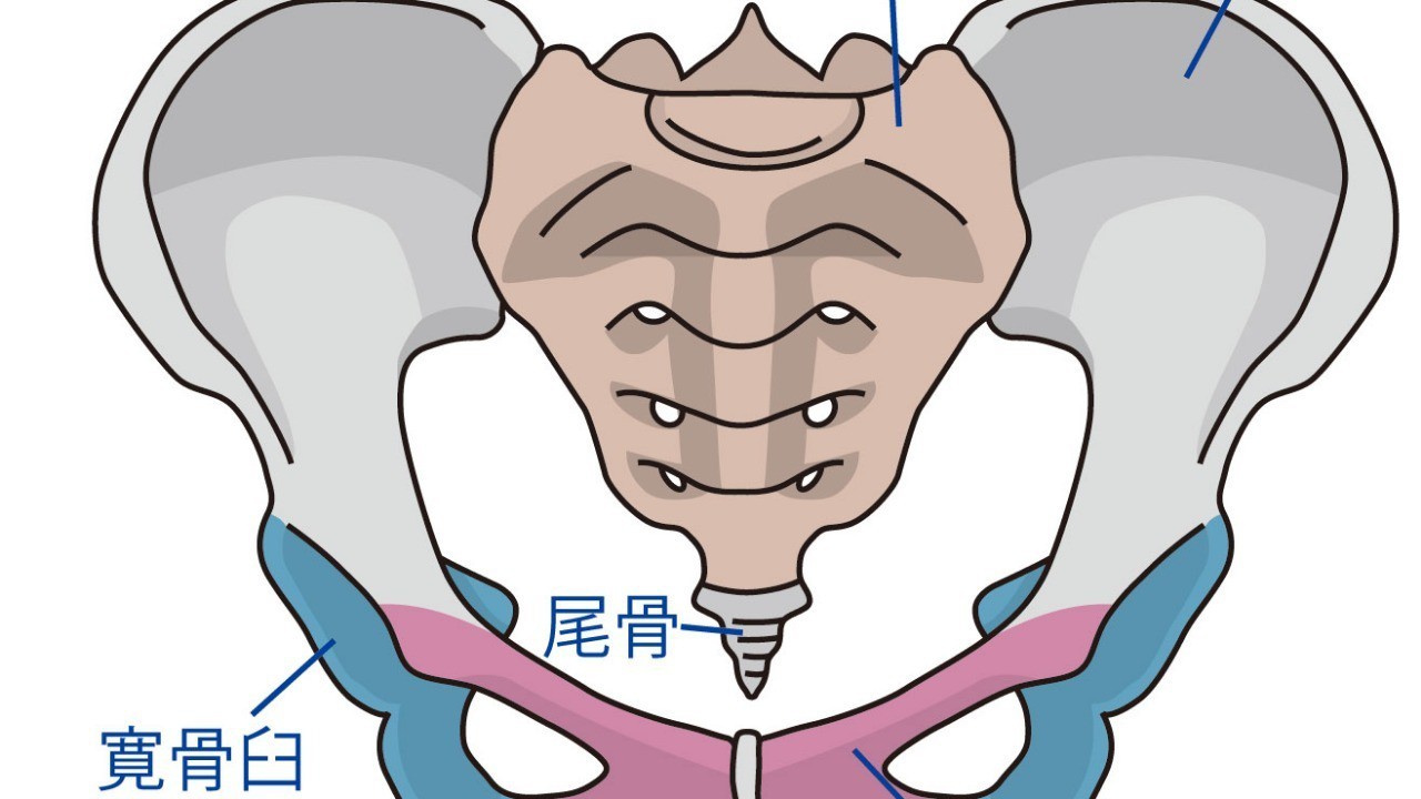 骨盤のお話（前傾と後傾）