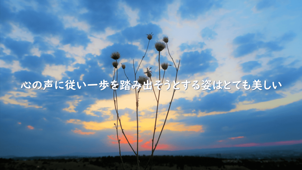 TOBIRA第2期がはじまりました！