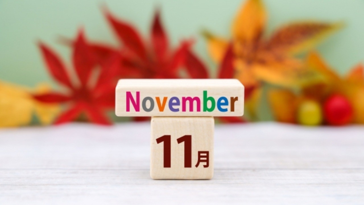 2022年11月のスケジュール