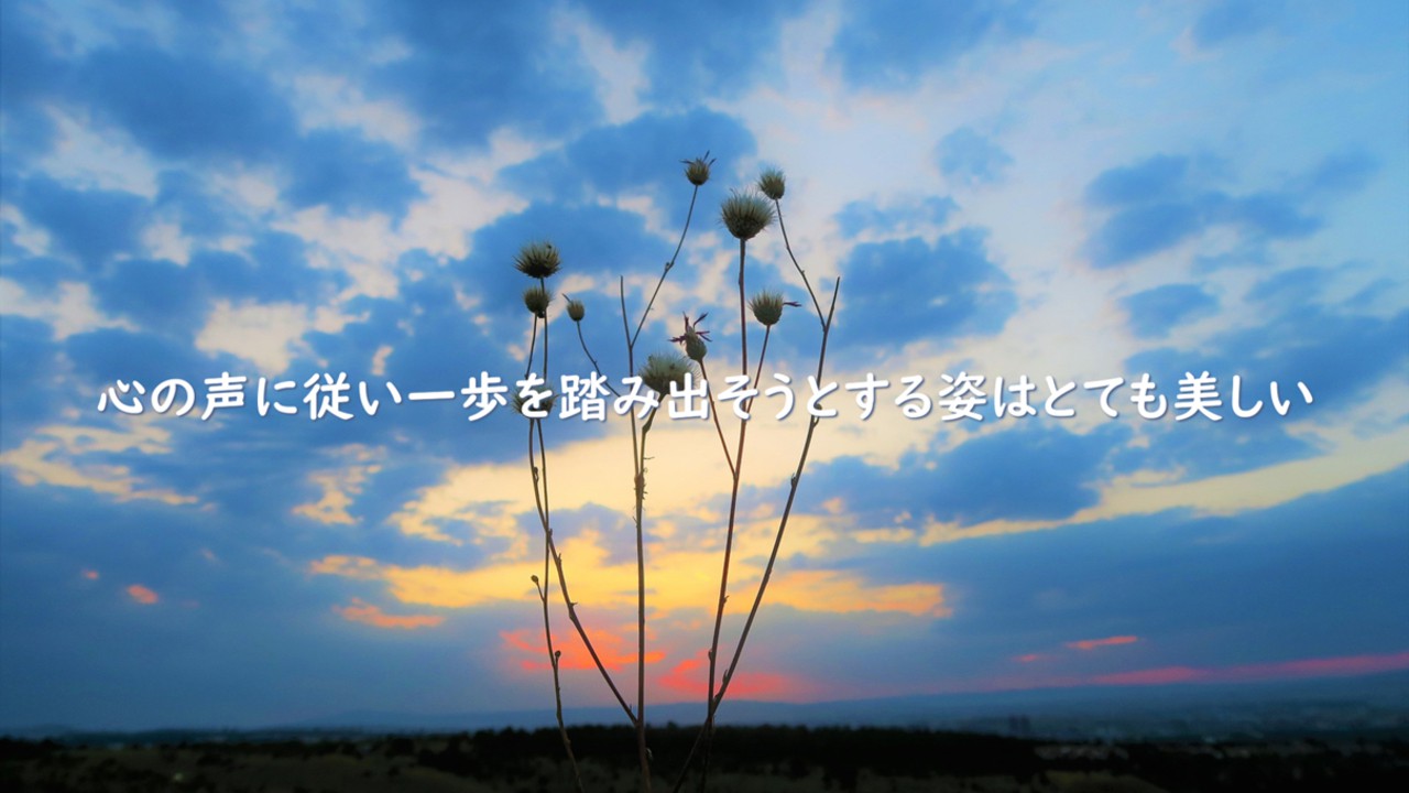TOBIRA第3期 始動！