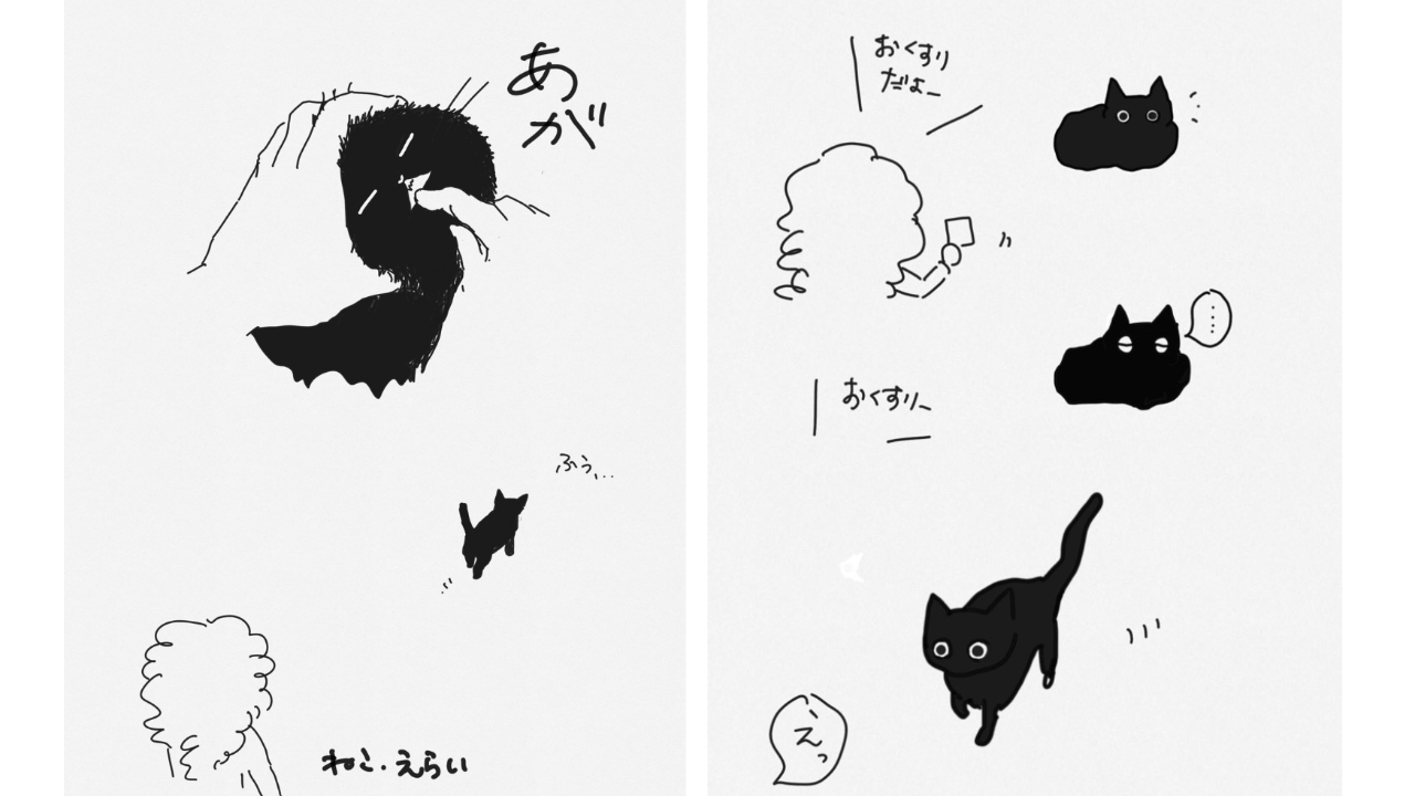 新しいコースとかコース内容とかコースの時間表記とかいろいろお知らせ