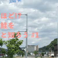 Activity8386