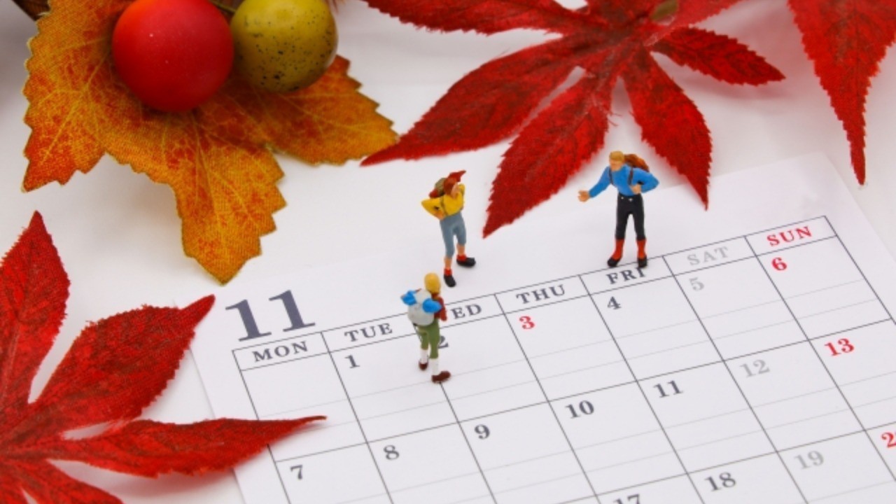 2023年11月のスケジュール