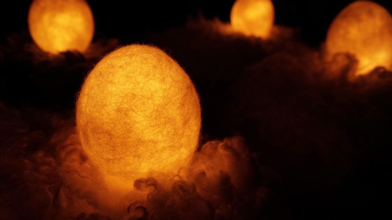 Ovis Lamp