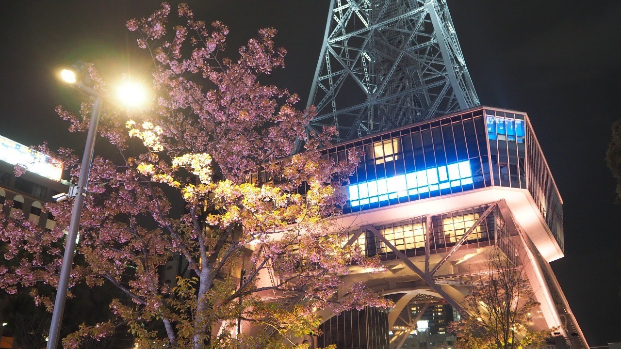 第32回 夜さんぽ 開催報告