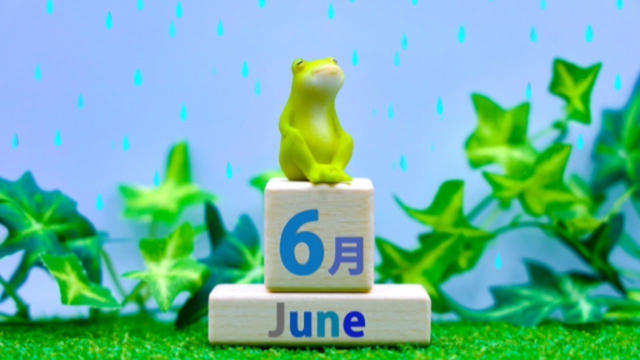 2024年6月のスケジュール