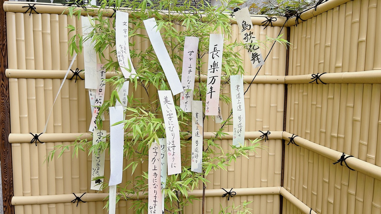 庭の笹に飾りました🎋笹の葉、さーらさら♪　彦星様、織姫様、みんなの願いを叶えてください⭐️