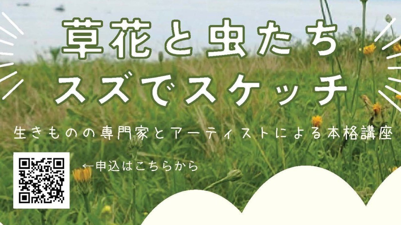 【参加受付中】草花と虫たち・スズでスケッチ（2024.11.10）