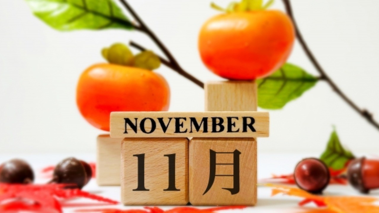 2024年11月のスケジュール