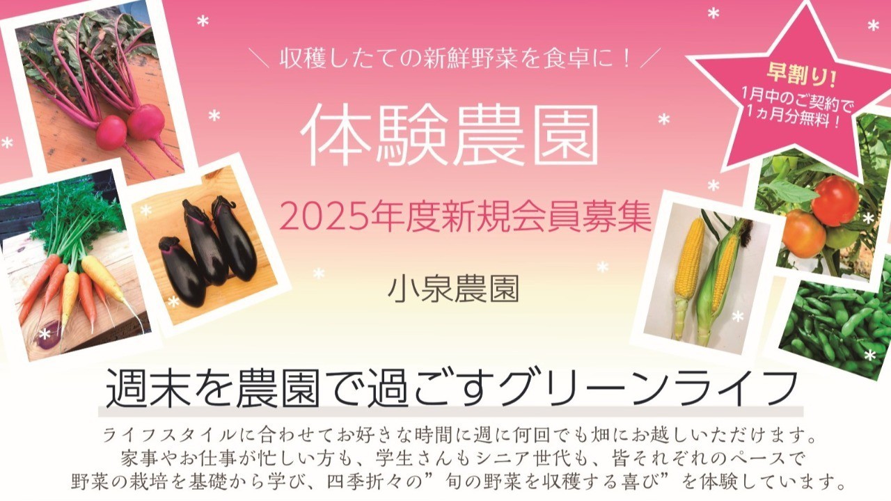 2025年度 小泉農園レンタルファーム見学会☆彡