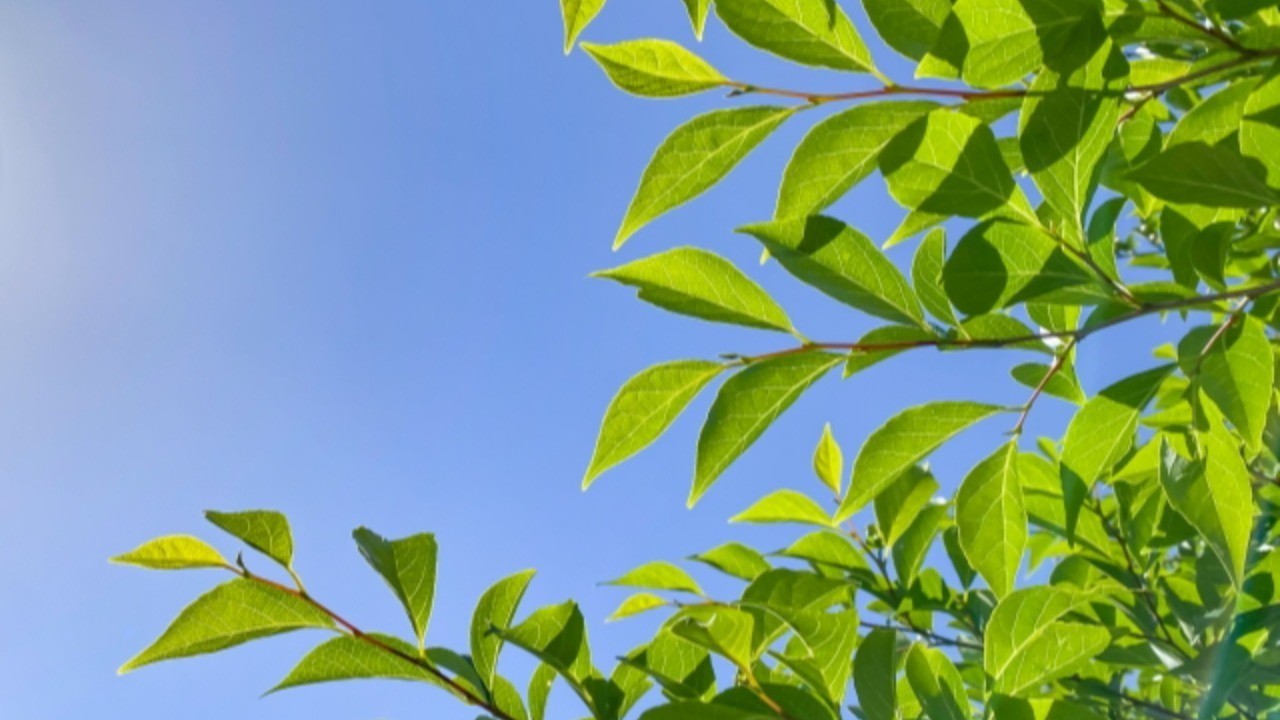 余白に生まれる、気づきの芽🌱