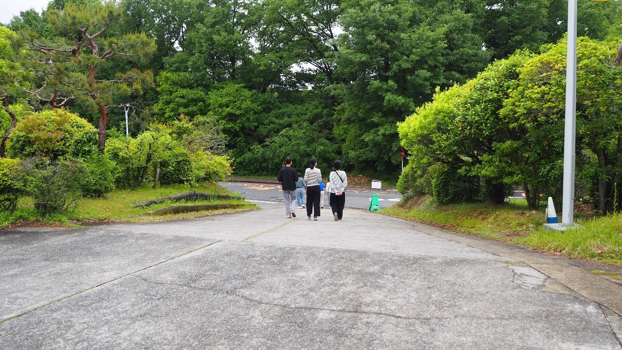 日本学生相談学会第43回大会 参加報告