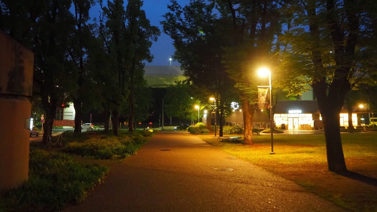 第47回 夜さんぽ 開催報告