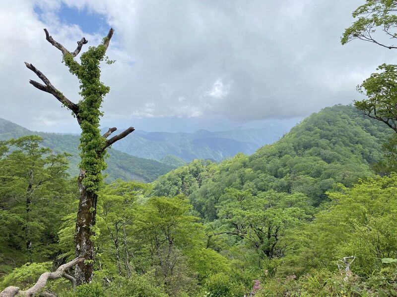 立山待春 立山待春