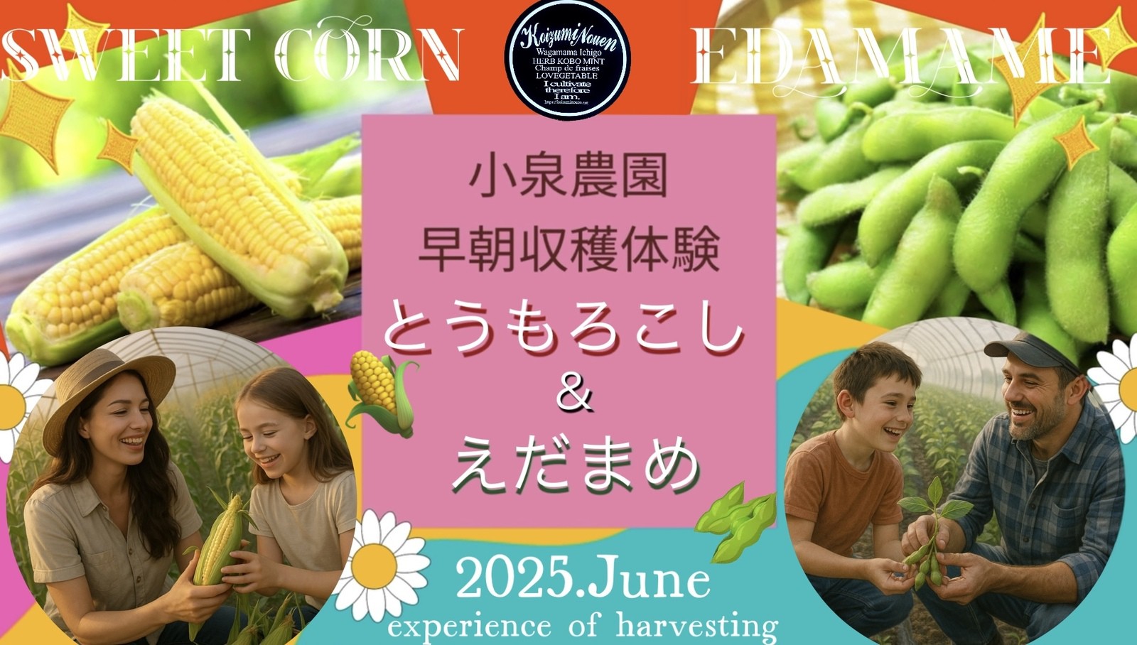 2025年6月とうもろこし＆枝豆収穫体験 - 小泉農園 - わがままいちご