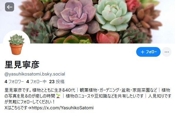 Bluesky - 里見寧彦