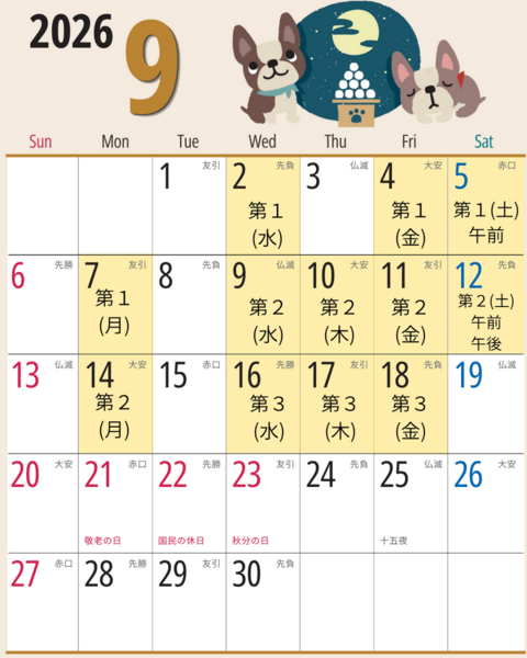 Image12:3