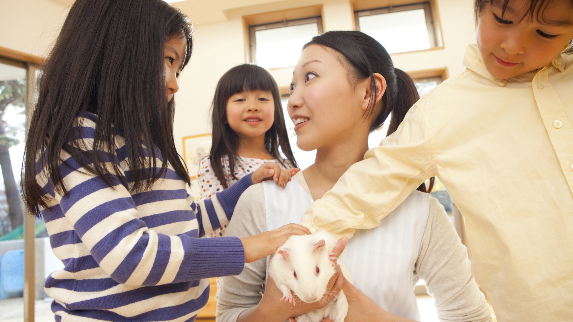 株式会社エフ・イー・ディ
